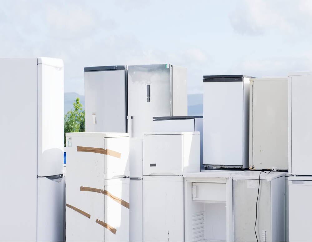 rectangle_272.jpg rectangle_272.jpg