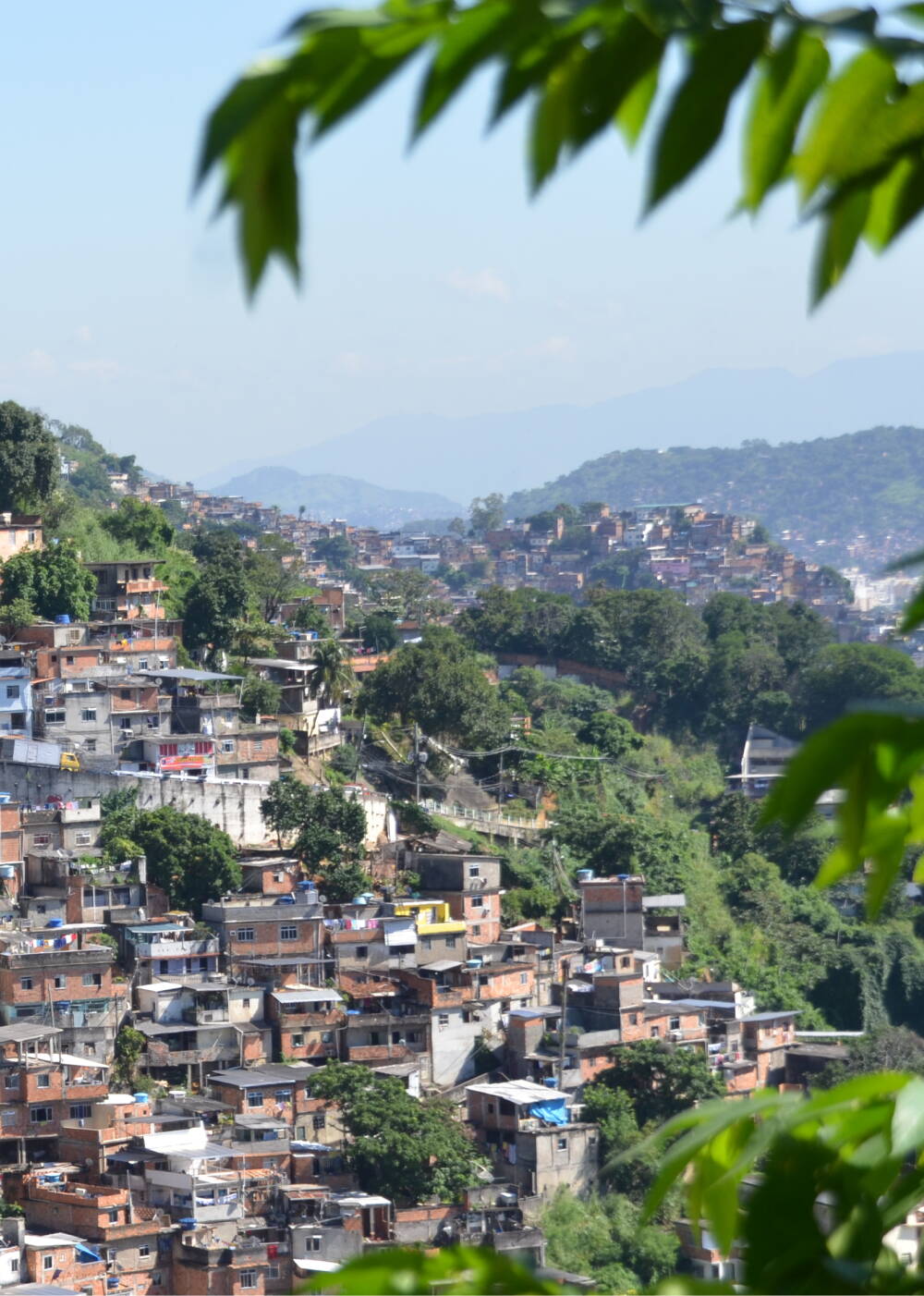 rectangle_271.jpg rectangle_271.jpg