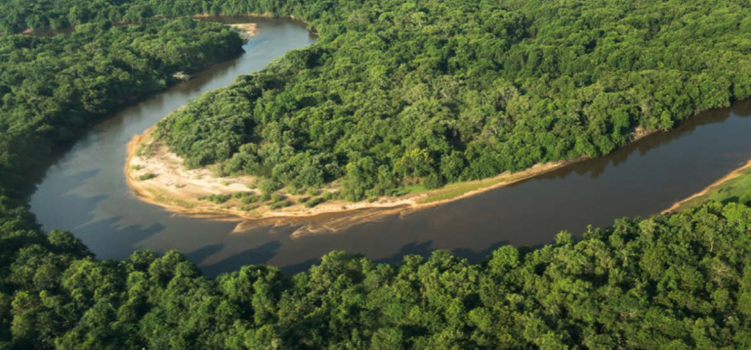 Schützen Sie mit Fair Recycling den Amazonas