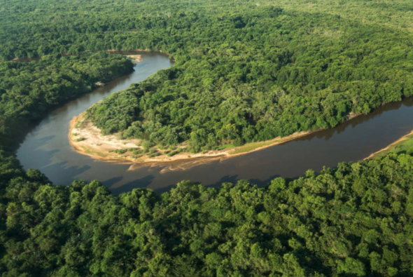 Schützen Sie mit Fair Recycling den Amazonas
